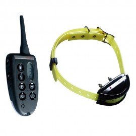 COLLAR EDUCATIVO NUM`S AXES EXPERT 600