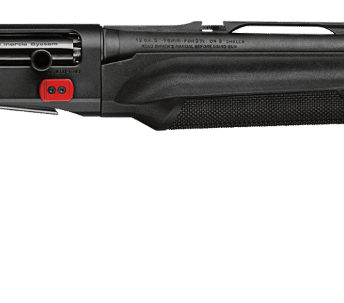 M2 SP - Speed Performance