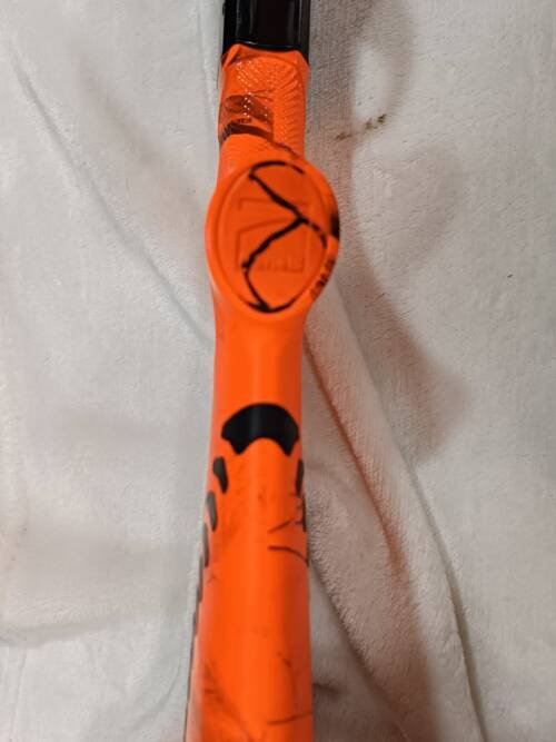 BENELLI ARGO E 300 WM - Imagen 7
