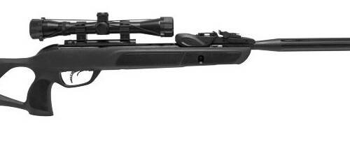 CARABINA GAMO ROADSTER IGT 10X GEN 3 5.5