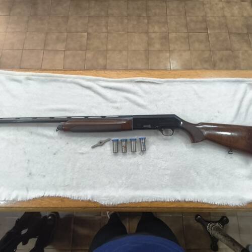 ESCOPETA BERETTA C/12